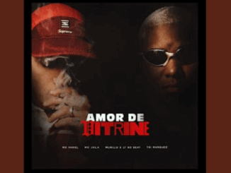 Amor de Vitrine - MC Hariel