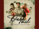 Paga Mil (feat. MC Gui Da Norte, DJ JB Mix)