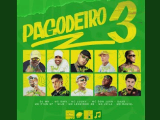 Pagodeiro, Pt. 3 (feat. MC LUUKY, Gaab, MC Ryan SP, Nilo, MC Leozinho ZS, Mc Jvila & Mc Daniel)