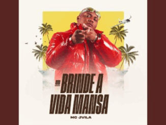 Um Brinde A Vida Mansa - MC JVILA