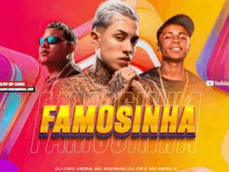 FAMOSINHA QUERO DESCOBRIR A COR DA TUA CALCINHA - MC Rodrigo do CN e MC Meno K (DJ Caio Vieira)
