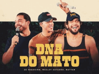 Zé Vaqueiro, Wesley Safadão, NATTAN - DNA do Mato
