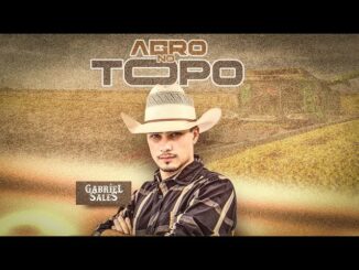 Agro no Topo - Gabriel Sales, Godoy Music