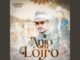 Gabriel Sales - Anjo Loiro