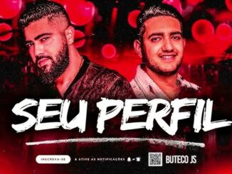 Henrique e Juliano - SEU PERFIL