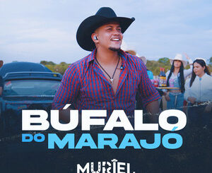 O Muriel - Búfalo do Marajó