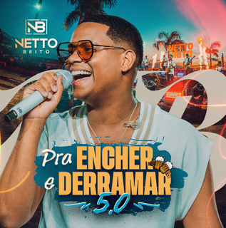 Netto Brito - CDs e Livros