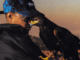 Bielzin - Balenciaga e Borges, Murillo e LT no Beat