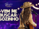 LAUANA PRADO - VEM ME BUSCAR